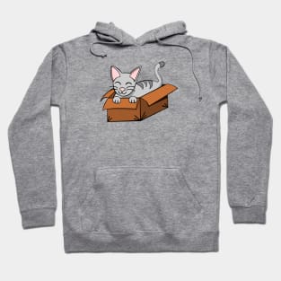 If It Fits I Sits Hoodie